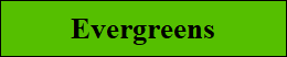 Schlager