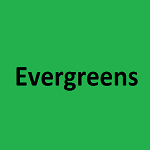 Evergreens Demo